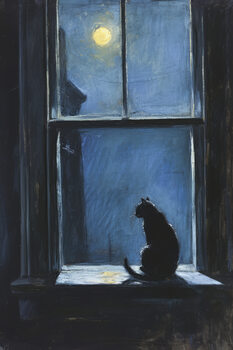 Cats and Dogs