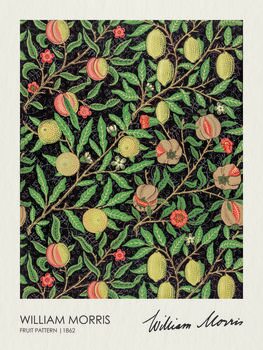 Poster Fruit Pattern (1862)