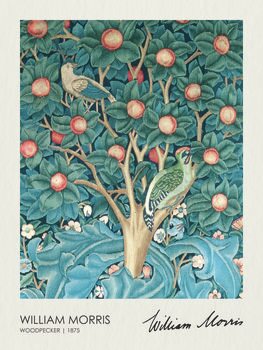 Poster Woodpecker (1875)