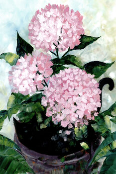 Poster Potted pink hydrangeas and black cat