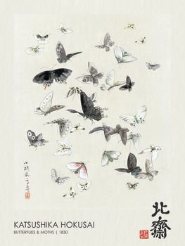 Plakat Butterflies & Moths (1830)