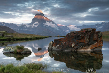 Nature Photography