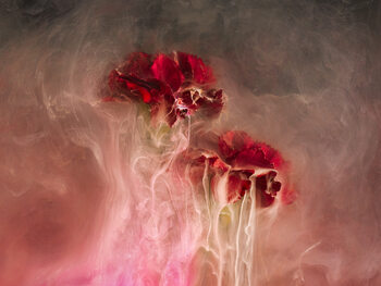 Submerged florals