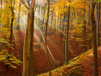 Autumn landscapes