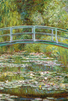 Poster Water Lily Pond