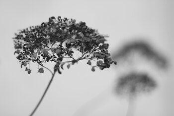 Black&White