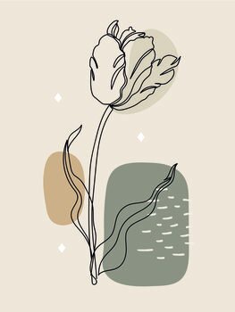 Line Art Collection