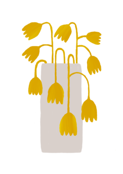 Still Life