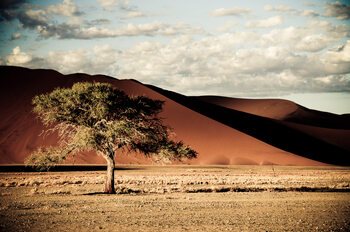 The Namibia Collection by SPARKLINGTRAVEL