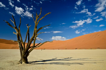 The Namibia Collection by SPARKLINGTRAVEL
