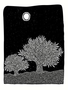 Landscapes