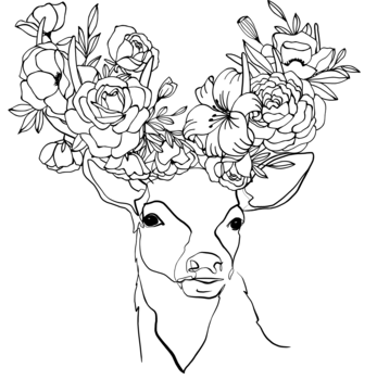 LINE DRAWINGS