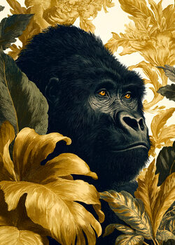 Africa