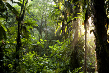 Costa Rica