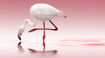 15697
