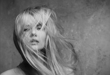 Poster Windswept Series