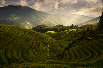 Фотошпалери A Tuscan Feel in China