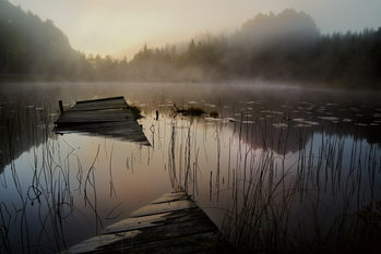 Poster In the misty morning