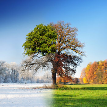 Poster 4 seasons