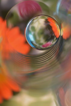 Poster Floral sphere