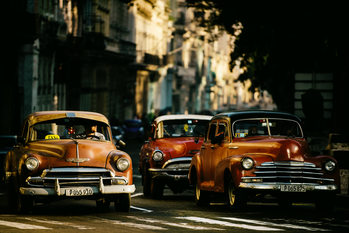Plakat Come with me in the morning light