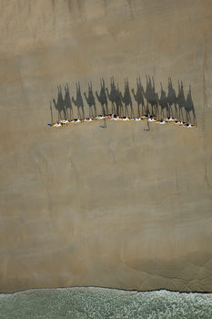 Poster Broome Camel Train