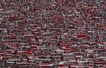 Poster Red houses