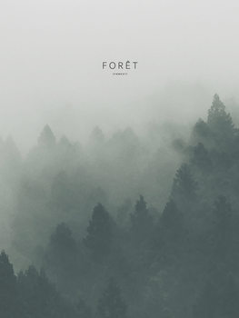 Poster foret2