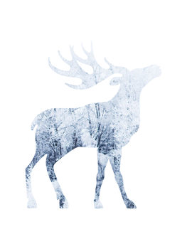 Poster moosesnow1