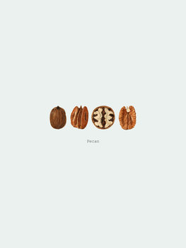 Poster pecan