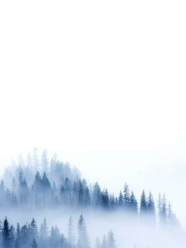 Poster treeblue2