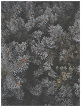 Poster christmas tree foilage