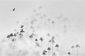 Poster cocora valley