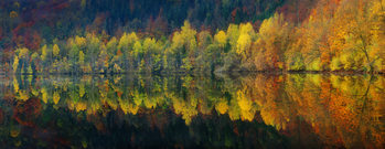 Poster Autumnal silence