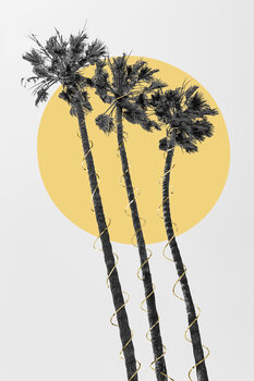 Poster Palm Trees In The Sun