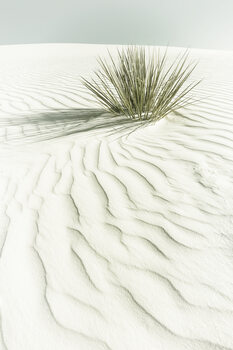 Poster WHITE SANDS Vintage scenery