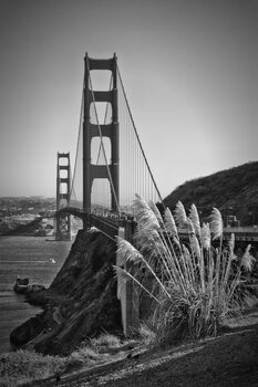 Плакат San Francisco Golden Gate Bridge
