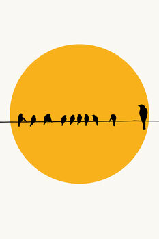 Poster Birds Family