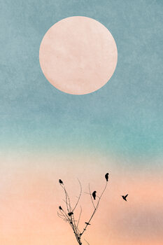 Plakát Waking Up Warm