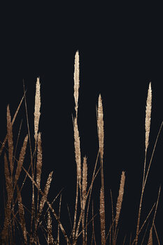 Plakát Golden Fields In The Dark