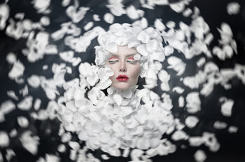 Poster Dreaming of Spring