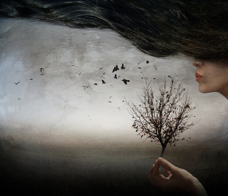 Canvas Print Autumn mood