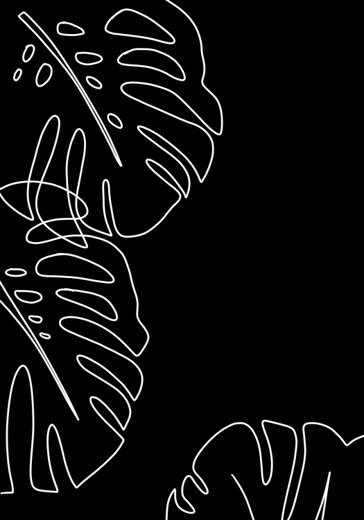 Poster Plant Monstera