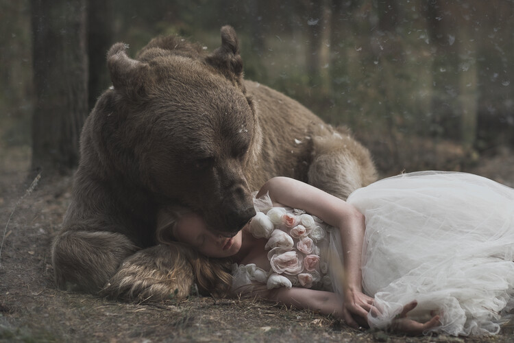 Levně Plakát, Obraz - Bear hug, Olga Barantseva, 40 × 26.7 cm