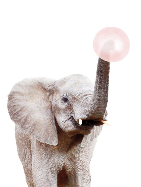 Poster Elephant with bubble gum