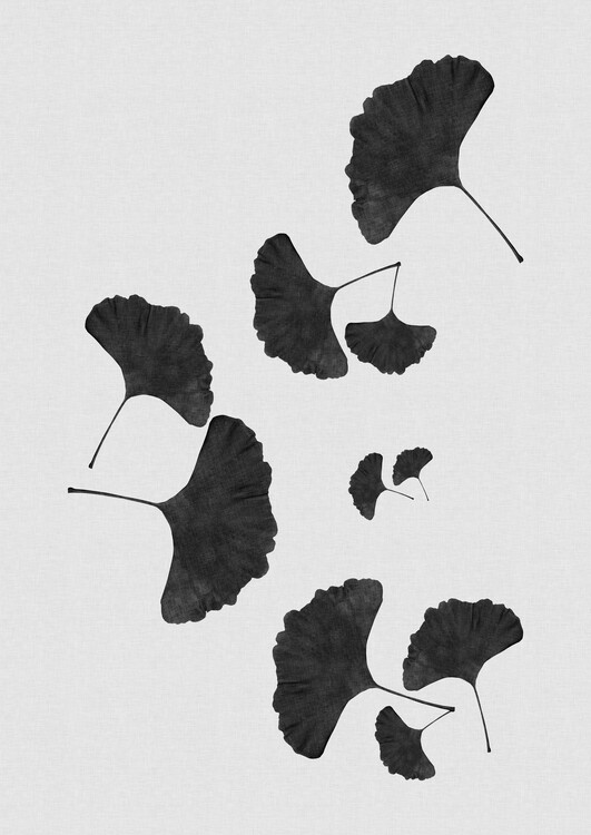 Poster Ginkgo Leaf Black & White I