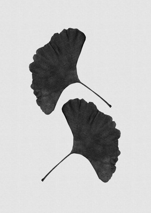 Poster Ginkgo Leaf Black & White II
