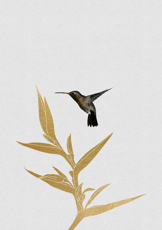 Poster Hummingbird & Flower II