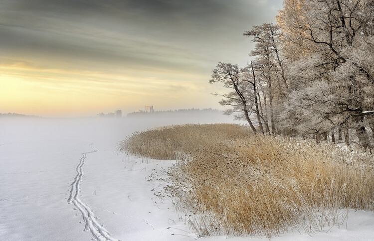 Levně Plakát, Obraz - Misty winter morning, Keijo Savolainen, 40 × 26.7 cm