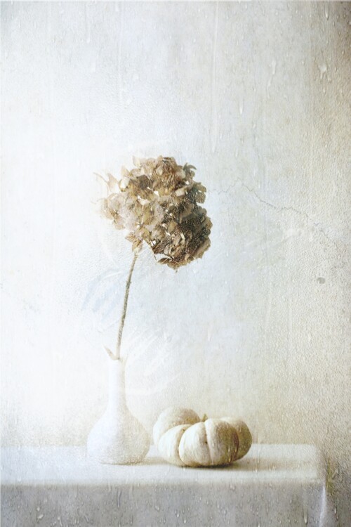 Poster Autumn Feelings